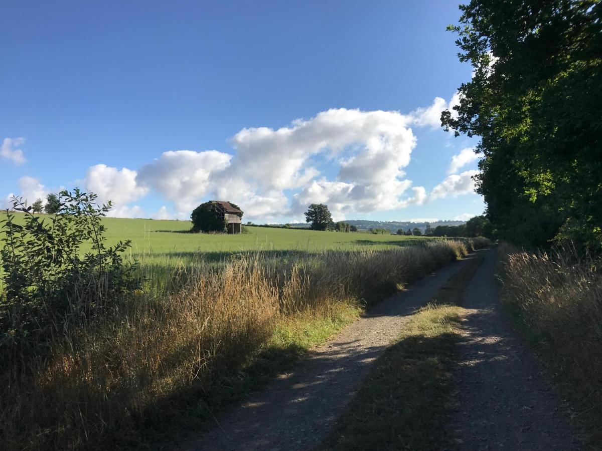 La Paix, Gite Bucolique En Normandie Condé-sur-Noireau 외부 사진