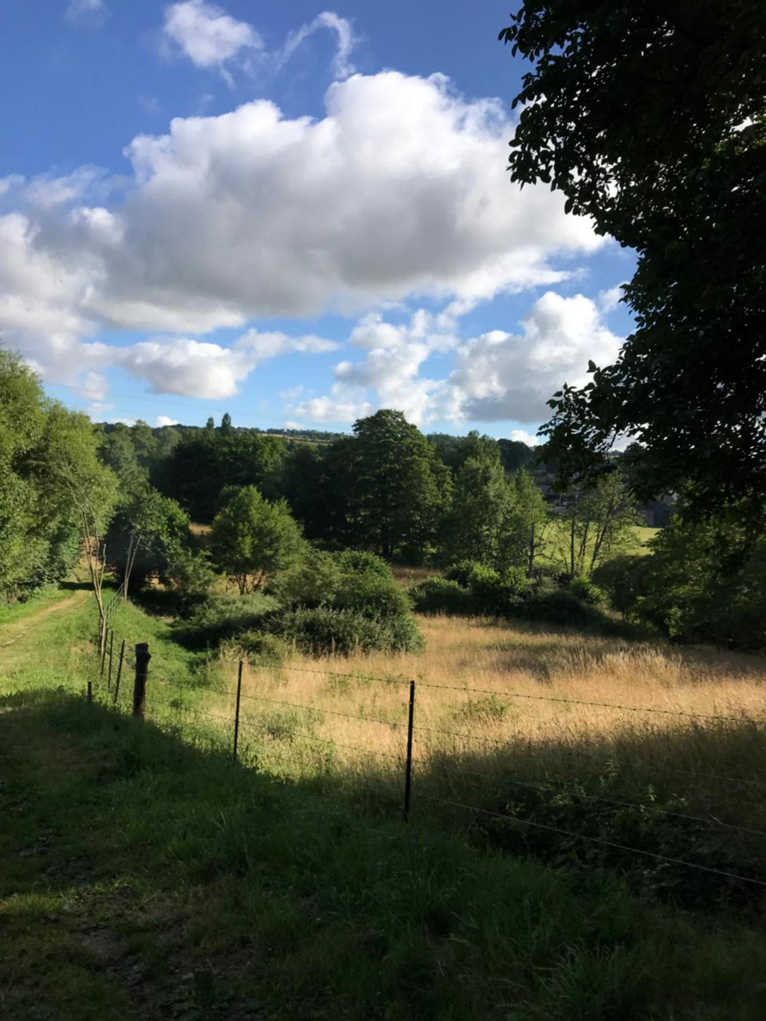 La Paix, Gite Bucolique En Normandie Condé-sur-Noireau 외부 사진